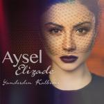 album image Yandirdin kalbimi aman Yandırdın Kalbimi - Single