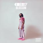 album image Skrr Skrr The Last Cherry Blossom