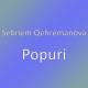 Sebnem Qehremanova - Popuri