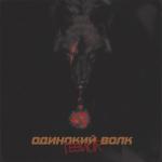 album image Сгораем Дотла (Remix) Одинокий волк