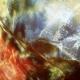 Geplantes Nichtstun - Lose