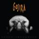 Gojira - Clone