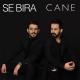 DJ DASTAN 1990 - Se Bıra - Cane (Remix)