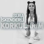 album image Seni Severdim 2019 (Dj Tebriz) Korkularım - EP