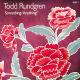 Todd Rundgren - Hello its Me (OST The Virgin Suicides)