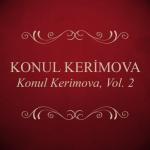 album image Bir Alem Var