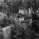 ТИМПАЧЕ - Птахи