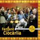 Fanfare Ciocarlia - Ruseasca lui filon