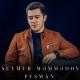 Seymur Memmedov - Vurulmusam
