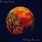 album image Yıldızların Altında Sevgiliye - Single