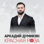 album image KRASNAYA ROZA / АРКАДИЙ ДУМИКЯН - КРАСНАЯ РОЗА Красная роза - Single