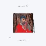 album image Friends forever Piramidi