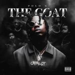 album image Beautiful Pain (Losin My Mind) THE GOAT