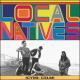 Local Natives feat. Sylvan Esso - Dark Days