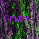MP & Tib - FLEX
