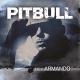 11. Pitbull - Orgullo (Album «Armando», 2010)