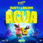 album image Agua Agua (Music From