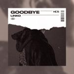 album image Goodbye Goodbye - Single