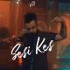 Velet - Sesi Kes (2020)