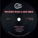 The Disko Starz, Amir Abbas - Summer Love