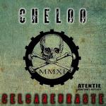 album image Unde se termina visele (320kbps) CelCareUrăște