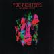 Foo Fighters - These Days