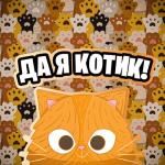 album image Симба Я Люблю Тебя Да Я Котик