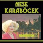 album image İnşallah Maşallah Amerika 2