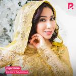 album image Jigarlarim Jigarlarim - Single