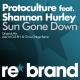Protoculture feat. Shannon Hurley - Sun Gone Down