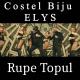 Costel Biju - rupe topul