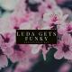 Unknown artist - luda gets funky.