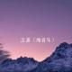 沈波 - Gasoline