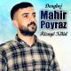 Dengbej Mahir Poyraz - Eysane