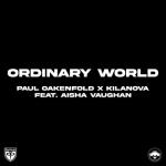 album image Ordinary World Ordinary World (feat. Aisha Vaughan) - Single