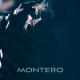 Montero (Call Me By Your Name) Lil Nas X - Rock Cover Fame On Fire