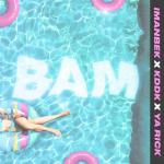 album image Bam Bam - Single