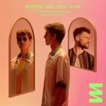 album image Lost Frequencies ft. Calum Scott - Where Are You Now (Ricii Lompeurs Remix) Where Are You Now - Single