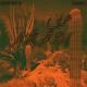 #ARAB TRAP - #ARAP TRAP (Drum Bass Prod)