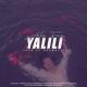 Dahmavel - Yalili