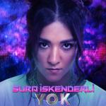 album image YOK (Ee daha daha nasılsınız?) YOK (Ee daha daha nasılsınız?) - Single