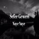 Sefer Geweri - Yek Du Se