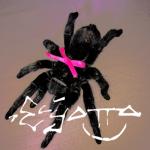 album image stalker HELLSCAPE SUBURBIA