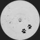 ABOUT THAT, EVALINA - Who Let The Dogs Out (feat. EVALINA)