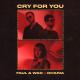 Faul & Wad, Dharia - Cry For You