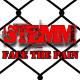Stemm - Face the Pain