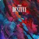 JIMBEI - Destiny