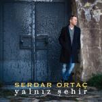 album image Yalnız Şehir Yalnız Şehir - Single