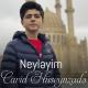 Cavid Hüseynzadə - HARDADI YARIM