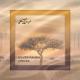 Silver Panda - African (Original Mix)